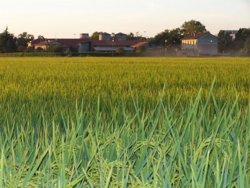 Cascina Battivacco Villa มิลาน ภายนอก รูปภาพ