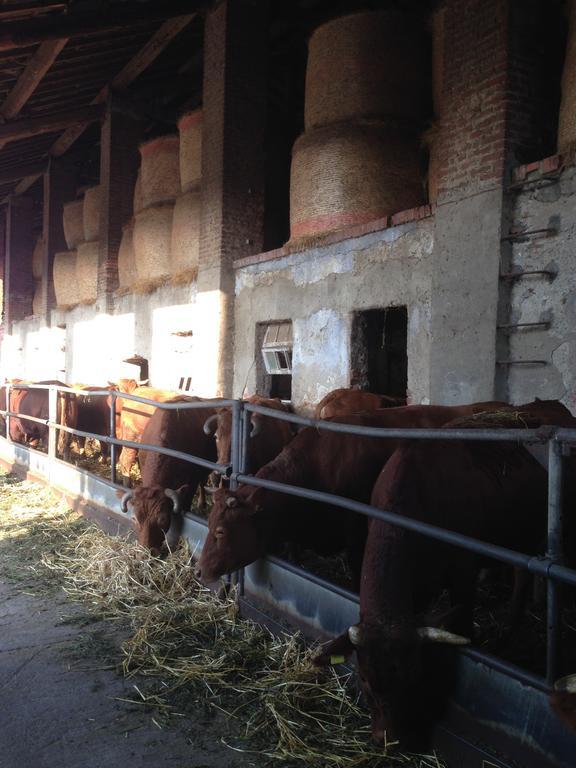 Cascina Battivacco Villa มิลาน ภายนอก รูปภาพ